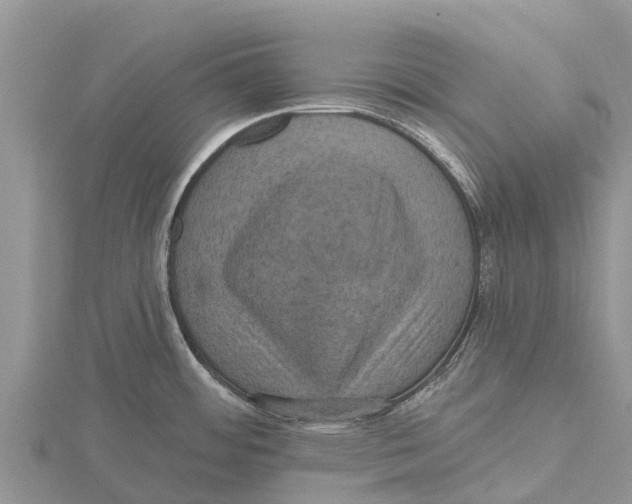 X0000115611484200912080952