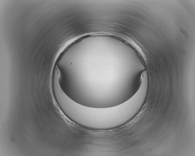 X0000115611485200912080952