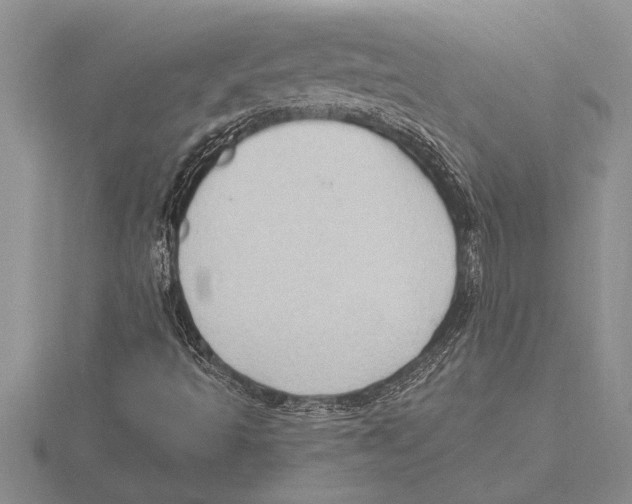 X0000115611493200912080951
