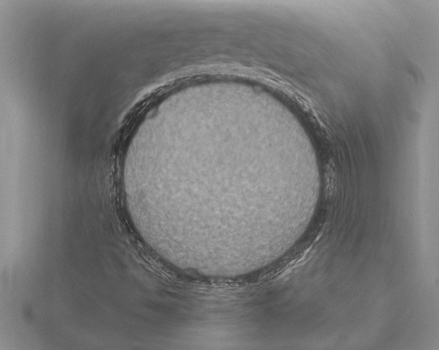 X0000115611494200912080951