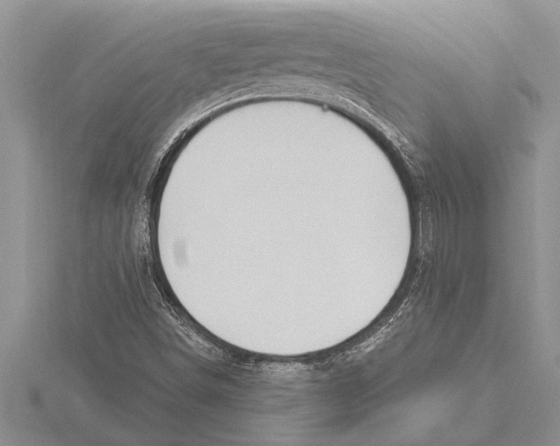 X0000115611498200912080951