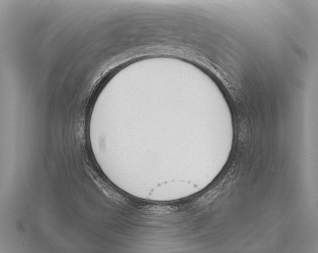 X0000115611499200912080951