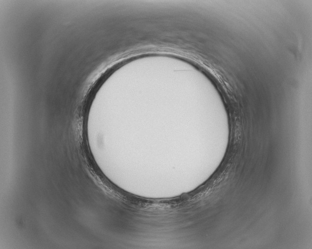 X0000115611503200912080951