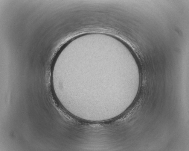 X0000115611507200912080951