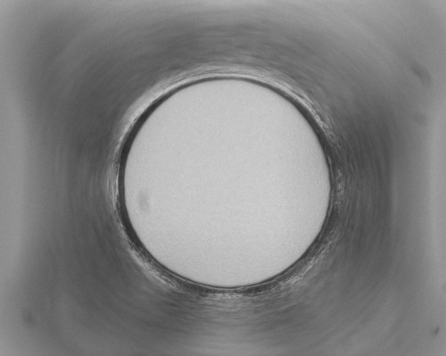 X0000115611511200912080951
