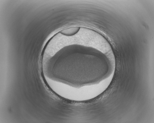 X0000115611522200912080952