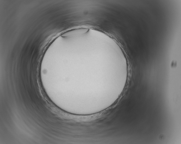 X0000115610001200912221217