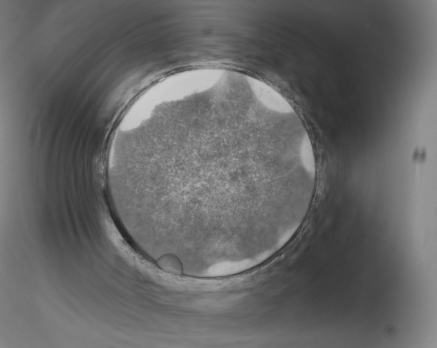 X0000115610002200912221217