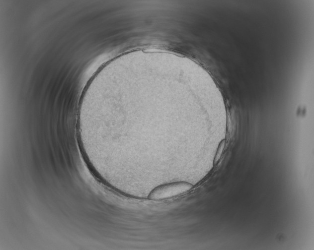 X0000115610003200912221217