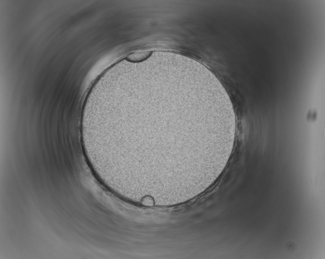 X0000115610004200912221217