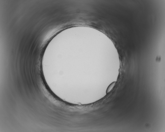 X0000115610005200912221217