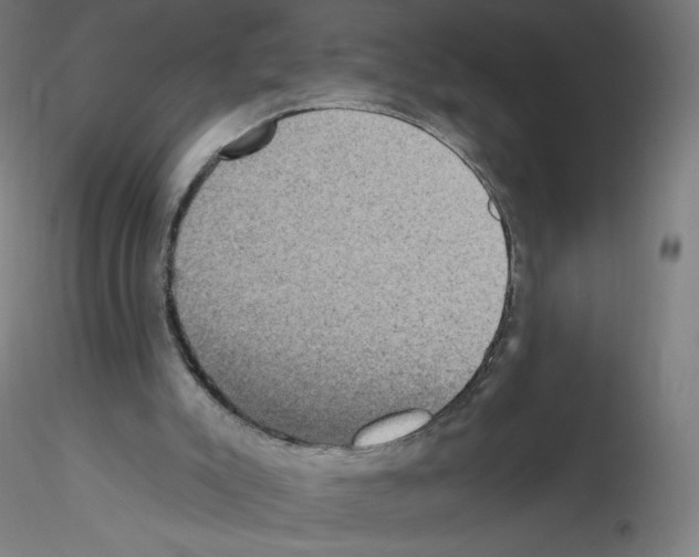 X0000115610007200912221217