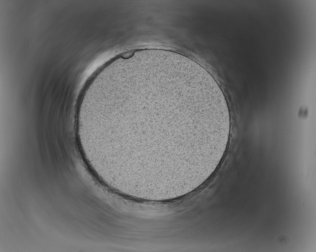 X0000115610008200912221217