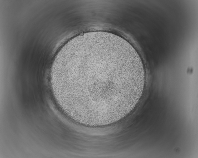 X0000115610010200912221217