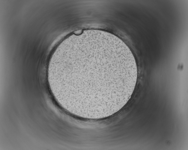 X0000115610012200912221217