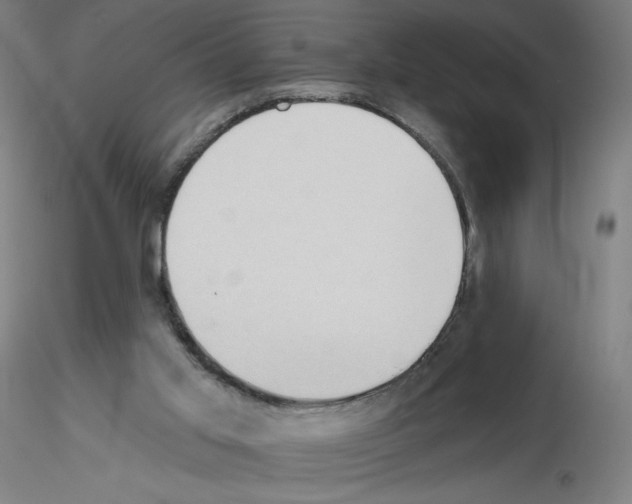 X0000115610013200912221217
