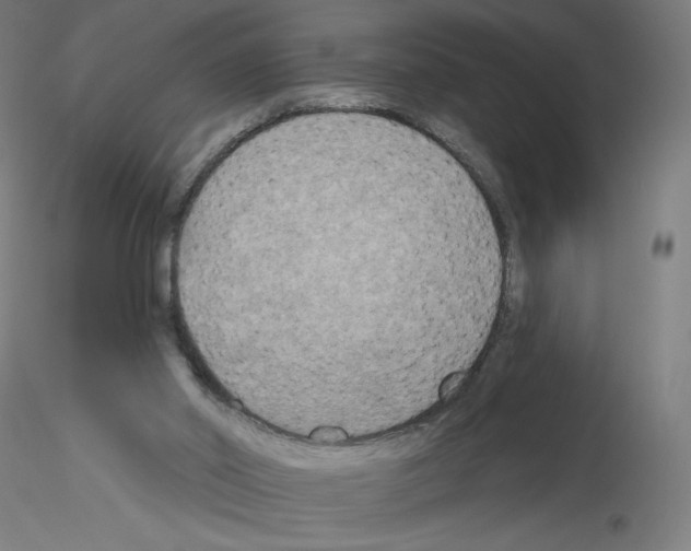 X0000115610014200912221217