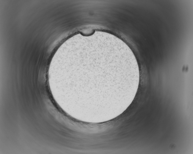 X0000115610015200912221217