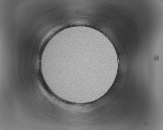 X0000115610016200912221217
