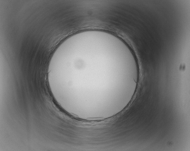 X0000115610017200912221217
