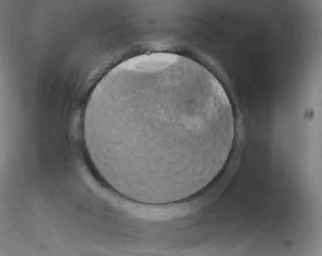 X0000115610018200912221217