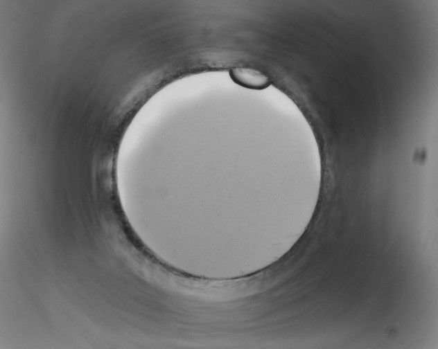 X0000115610019200912221217