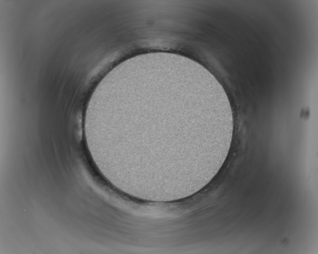 X0000115610020200912221217