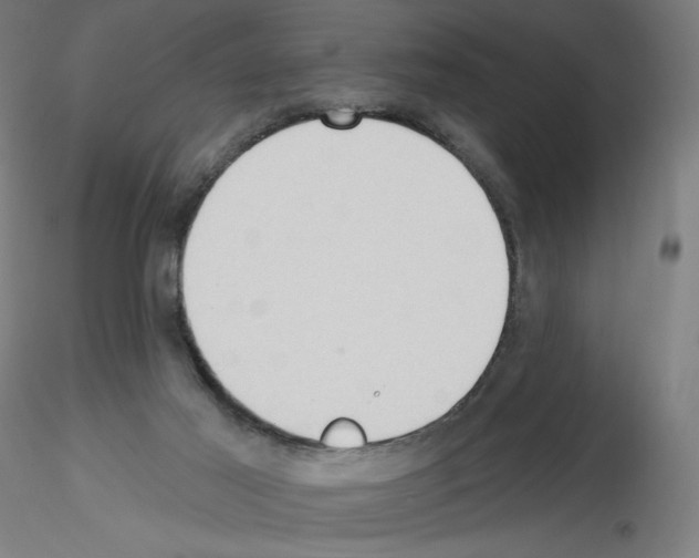 X0000115610021200912221216