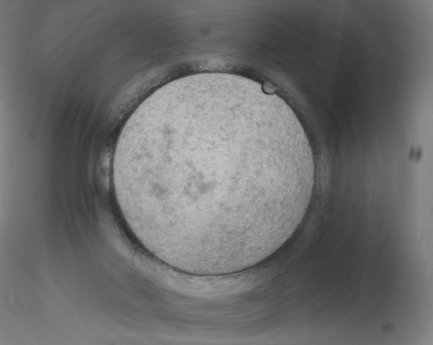 X0000115610022200912221216