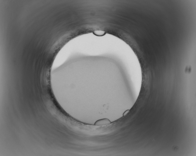 X0000115610023200912221216