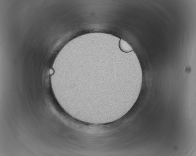 X0000115610024200912221216