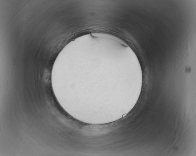 X0000115610025200912221216