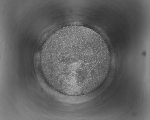 X0000115610026200912221216