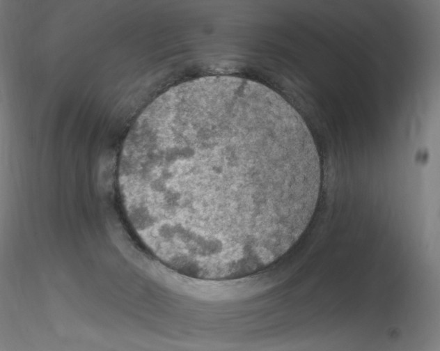 X0000115610030200912221216