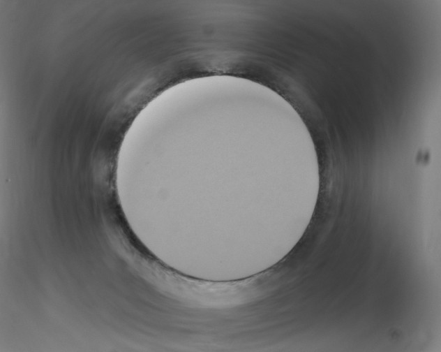 X0000115610031200912221216