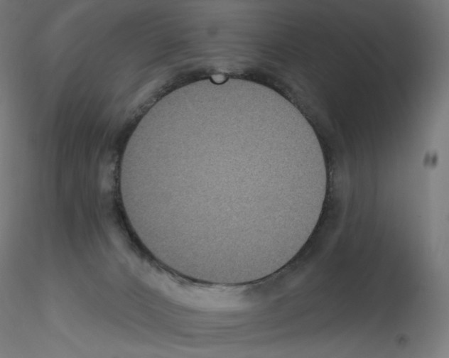X0000115610032200912221216
