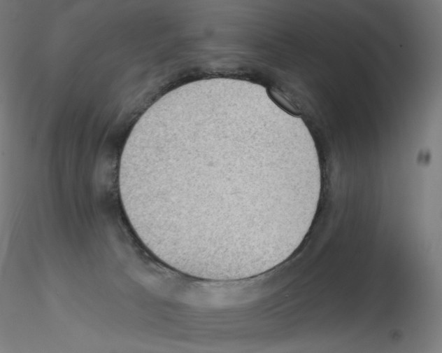 X0000115610033200912221216