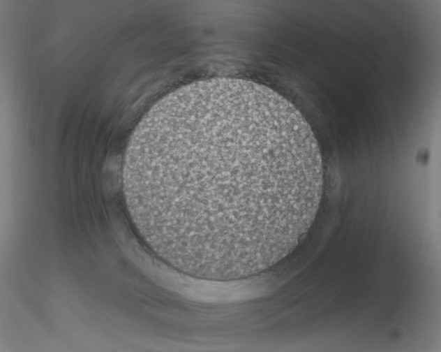 X0000115610034200912221216