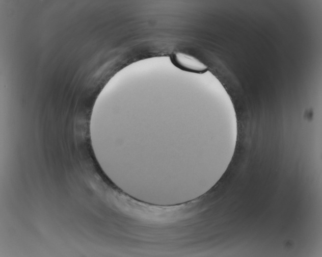 X0000115610035200912221216