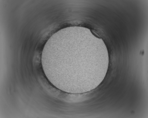 X0000115610037200912221216