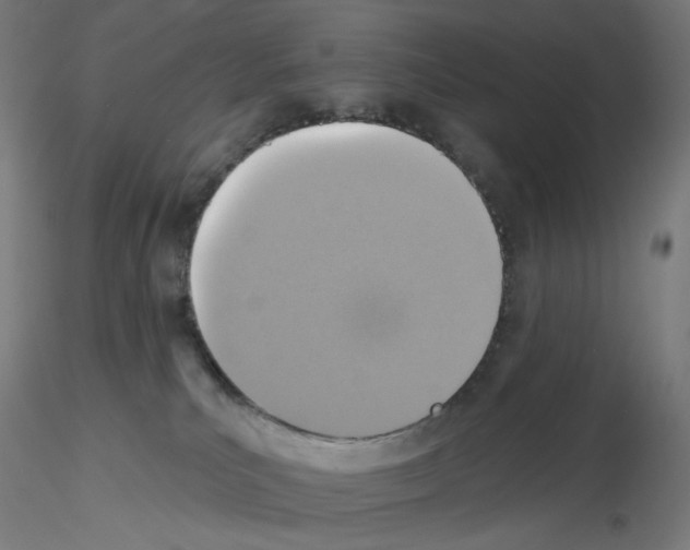 X0000115610039200912221216