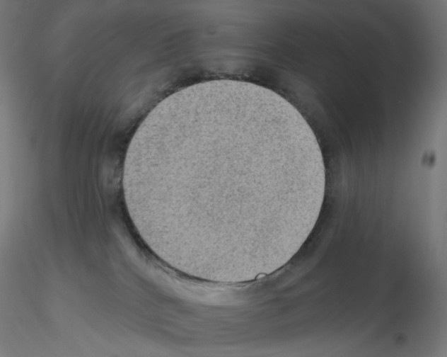 X0000115610040200912221216