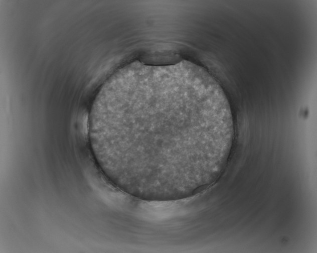 X0000115610041200912221216