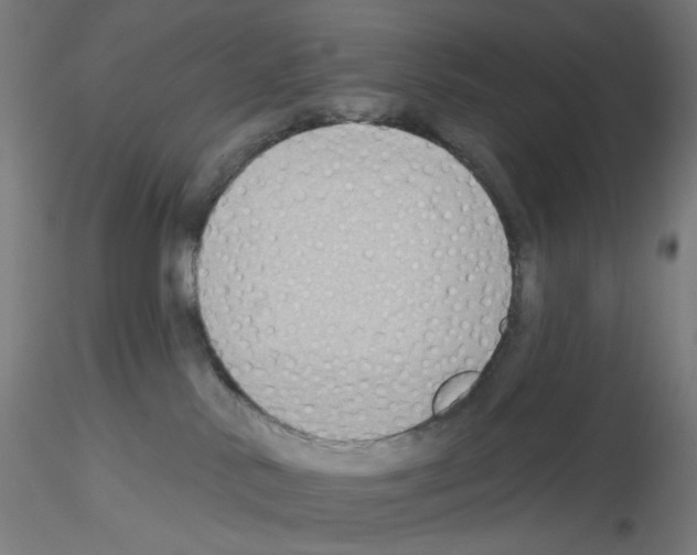 X0000115610042200912221216