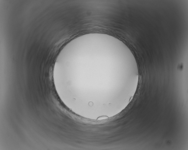 X0000115610043200912221216