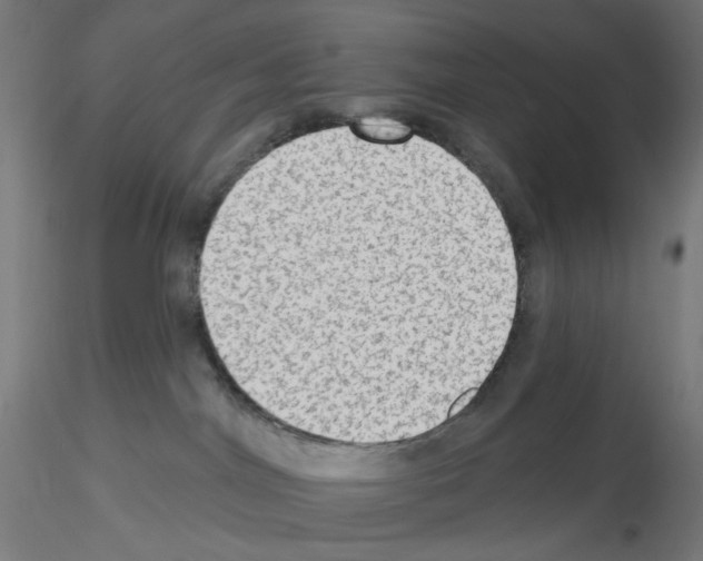 X0000115610044200912221216