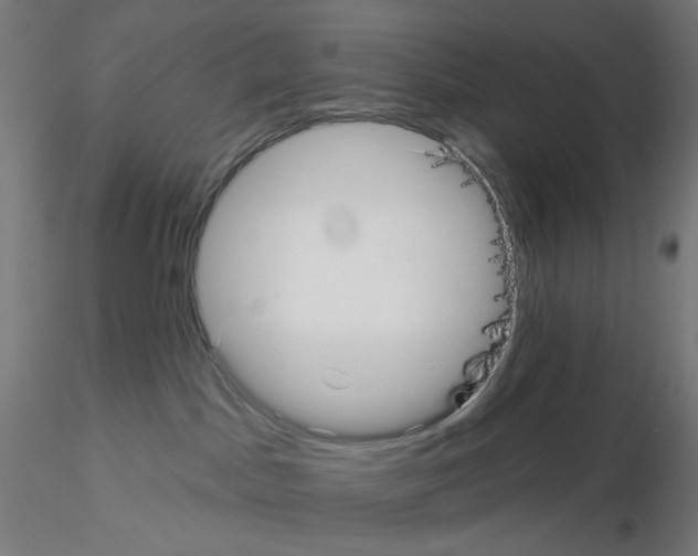 X0000115610045200912221216