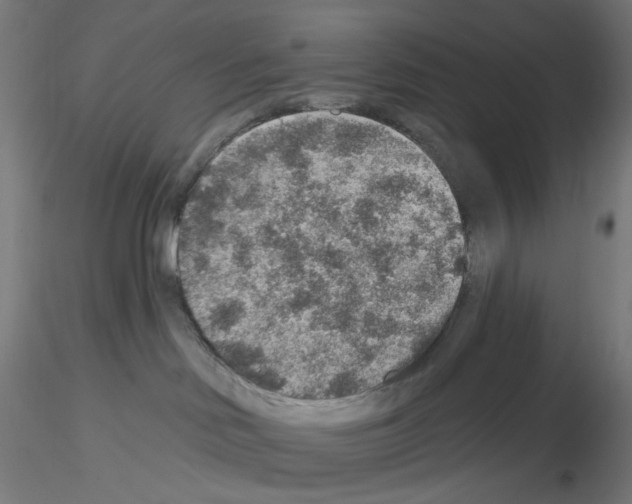 X0000115610046200912221216