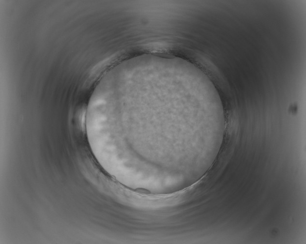 X0000115610047200912221216