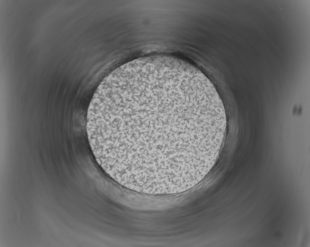 X0000115610048200912221216